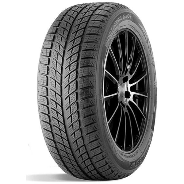 Doublestar DW09 245/40 R18 93H зимняя