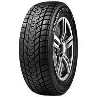 Delinte Winter WD1 205/60 R16 96T       - 