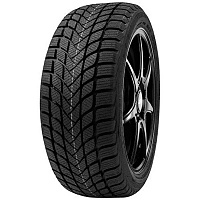 Delinte Winter WD6 185/55 R15 82H       - 