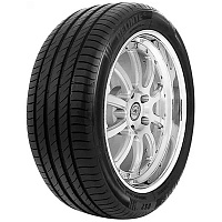 Delinte DS2 275/35 R20 102Y       - 