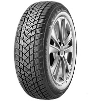Gtradial Champiro WinterPro 2 205/55 R17 95H       - 
