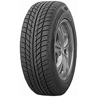 Goodride SW608 205/45 R17 88H       - 