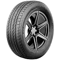 Antares Majoris R1 255/50 R20 109W       - 